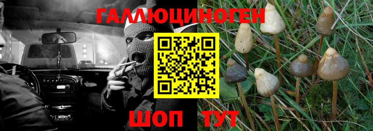 Нижневартовск  Галлюциногенные грибы мухоморы  Галлюциногенные грибы Cubensis  Вход с VPN 